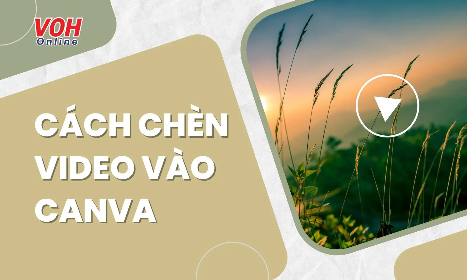 Cách chèn video vào Canva bằng máy tính và điện thoại nhanh nhất