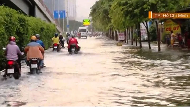 Điểm tin chiều 29/10: TPHCM nhiều nơi ngập úng do mưa và triều cường | Bắt giữ 14 ô tô chở 50 tấn đường nhập lậu