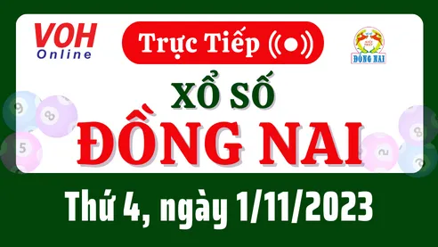XSDN 1/11 - Kết quả xổ số Đồng Nai hôm nay thứ 4 ngày 1/11/2023