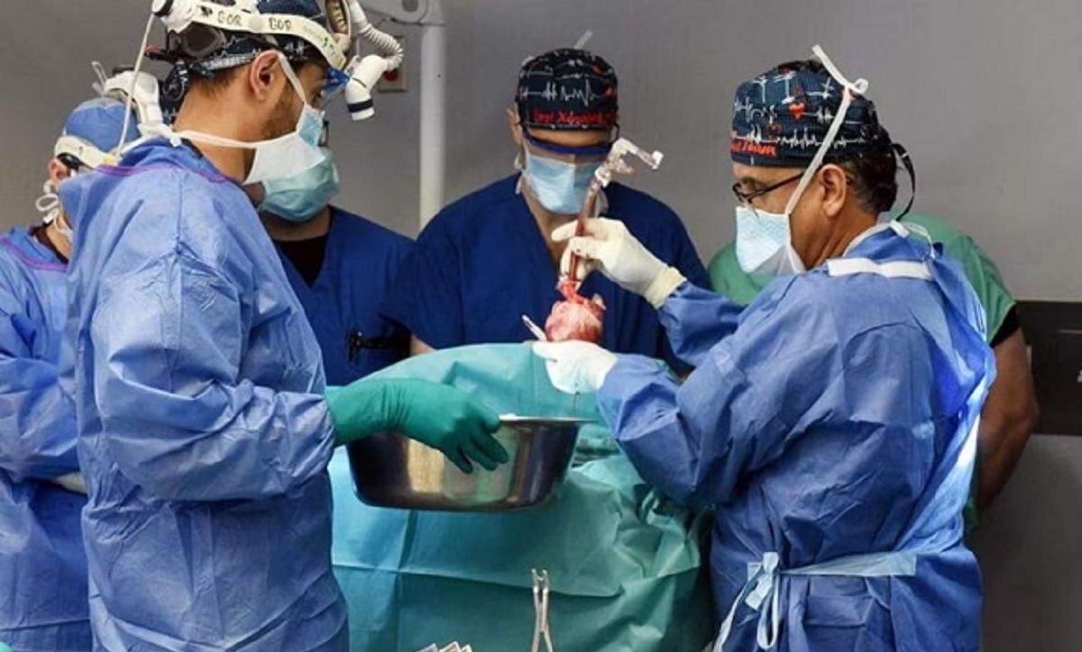 Người đàn ông thứ hai trên thế giới được ghép tim heo đã qua đời