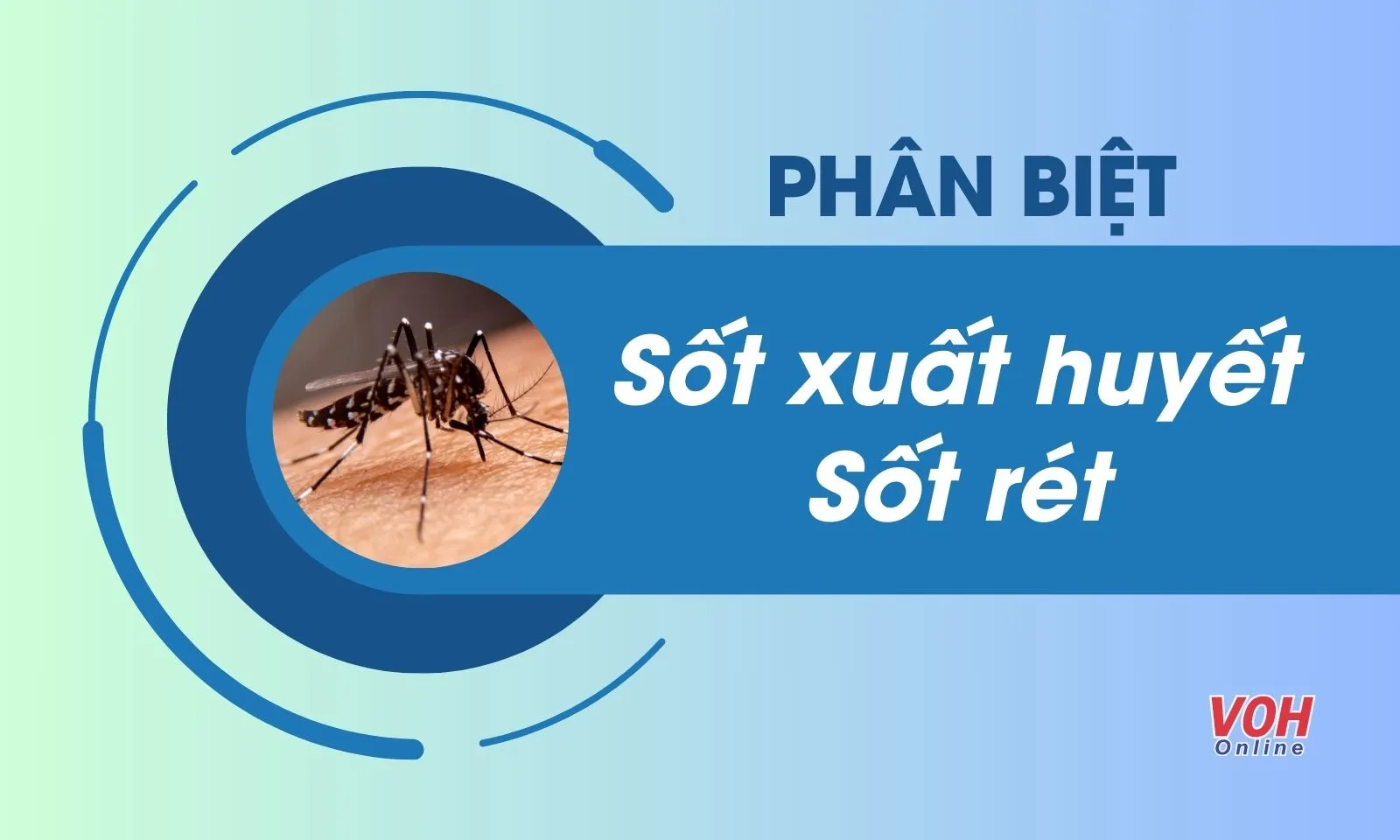 Sốt xuất huyết và sốt rét khác nhau như thế nào?