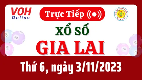 XSGL 3/11 - Kết quả xổ số Gia Lai hôm nay thứ 6 ngày 3/11/2023