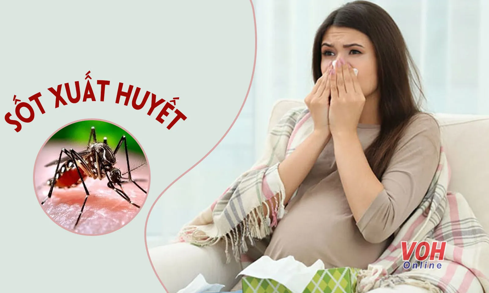 Sốt xuất huyết khi mang thai có nguy hiểm và gây dị tật thai nhi?