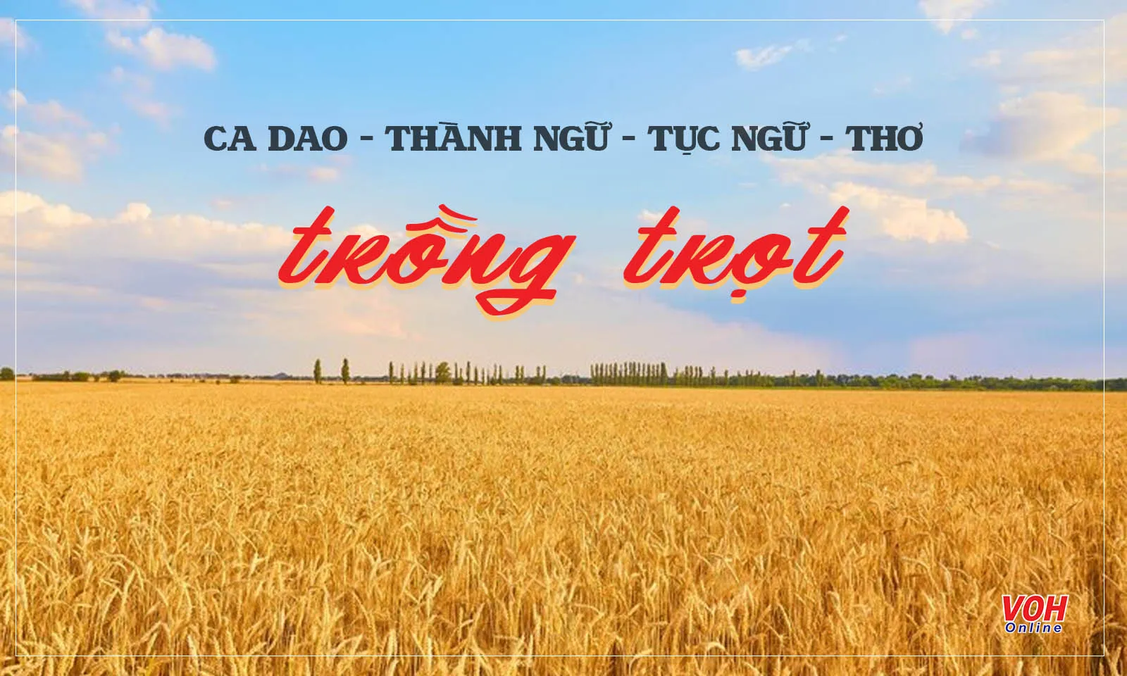 200+ câu ca dao, thành ngữ, tục ngữ, thơ nói về trồng trọt