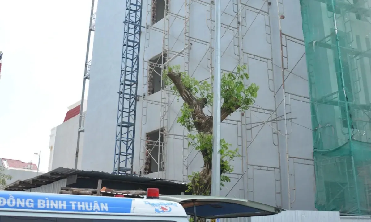 Đứt dây cáp thang nhà cao tầng ở Phan Thiết, 3 người chết tại chỗ