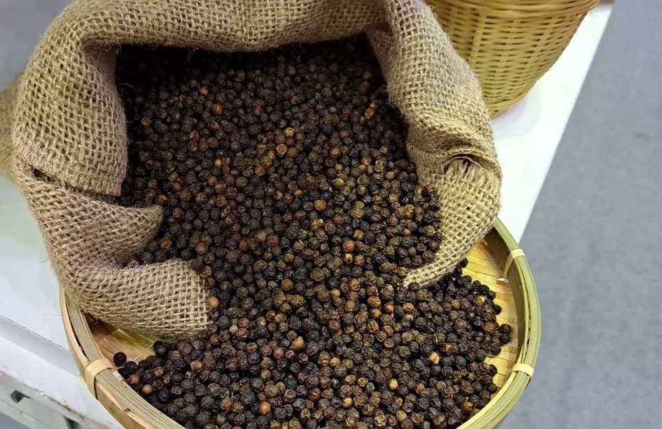 Giá tiêu hôm nay 11/11/2023: Tăng thứ 3 liên tiếp