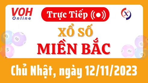 XSMB 12/11, Trực tiếp xổ số miền Bắc chủ nhật ngày 12/11/2023