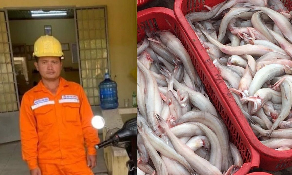 Điểm tin sáng 14/11: Giả danh nhân viên điện lực lừa đảo | Mẫu cá khoai dương tính với formol