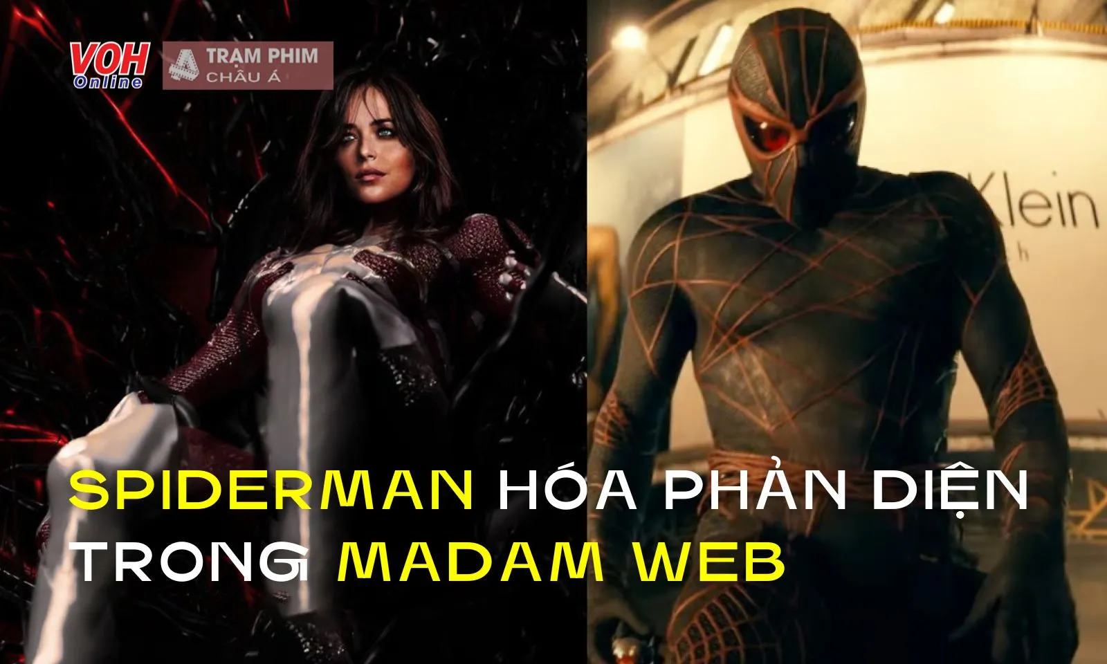 Madame Web: Spider-Man Hóa ác Nhân, điều Gì đang Diễn Ra Trong Vũ Trụ ...