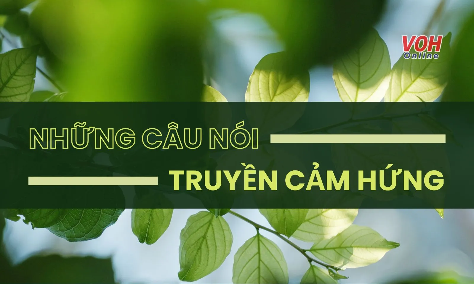 Những câu nói truyền cảm hứng, động lực trong cuộc sống