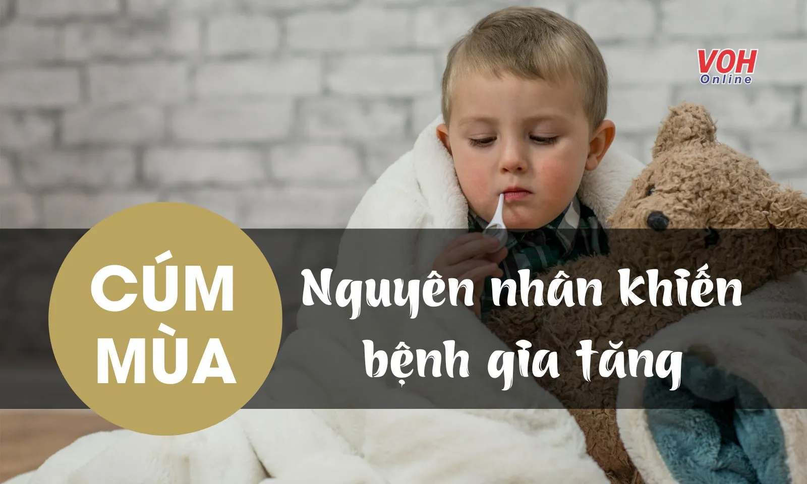 Nguyên nhân nào khiến bệnh cúm mùa gia tăng?