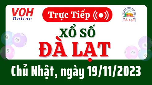 XSDL 19/11 - Kết quả xổ số Đà Lạt hôm nay chủ nhật ngày 19/11/2023