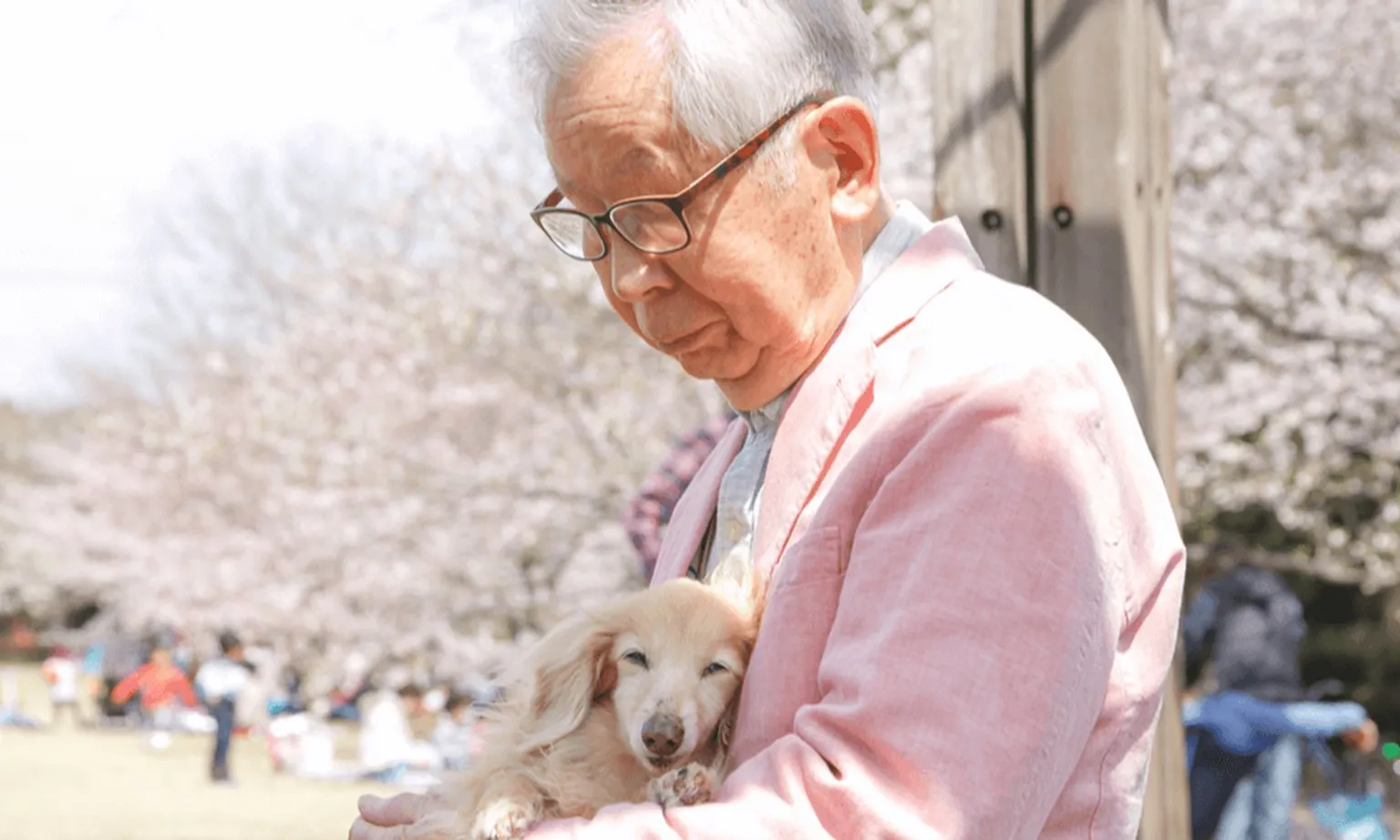 Nuôi chó, mèo làm chậm quá trình suy giảm nhận thức