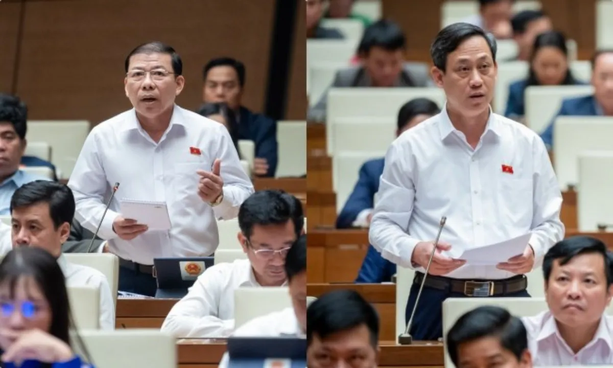 ĐBQH: Tòa án không thu thập chứng cứ sẽ gây khó cho dân