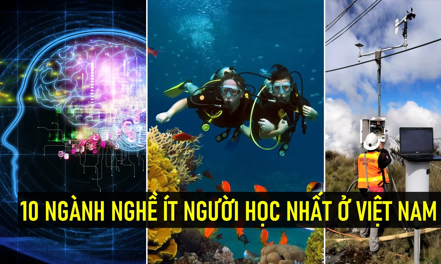 10 ngành nghề ít người học nhất ở Việt Nam?