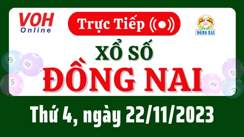 XSDN 22/11 - Kết quả xổ số Đồng Nai hôm nay thứ 4 ngày 22/11/2023