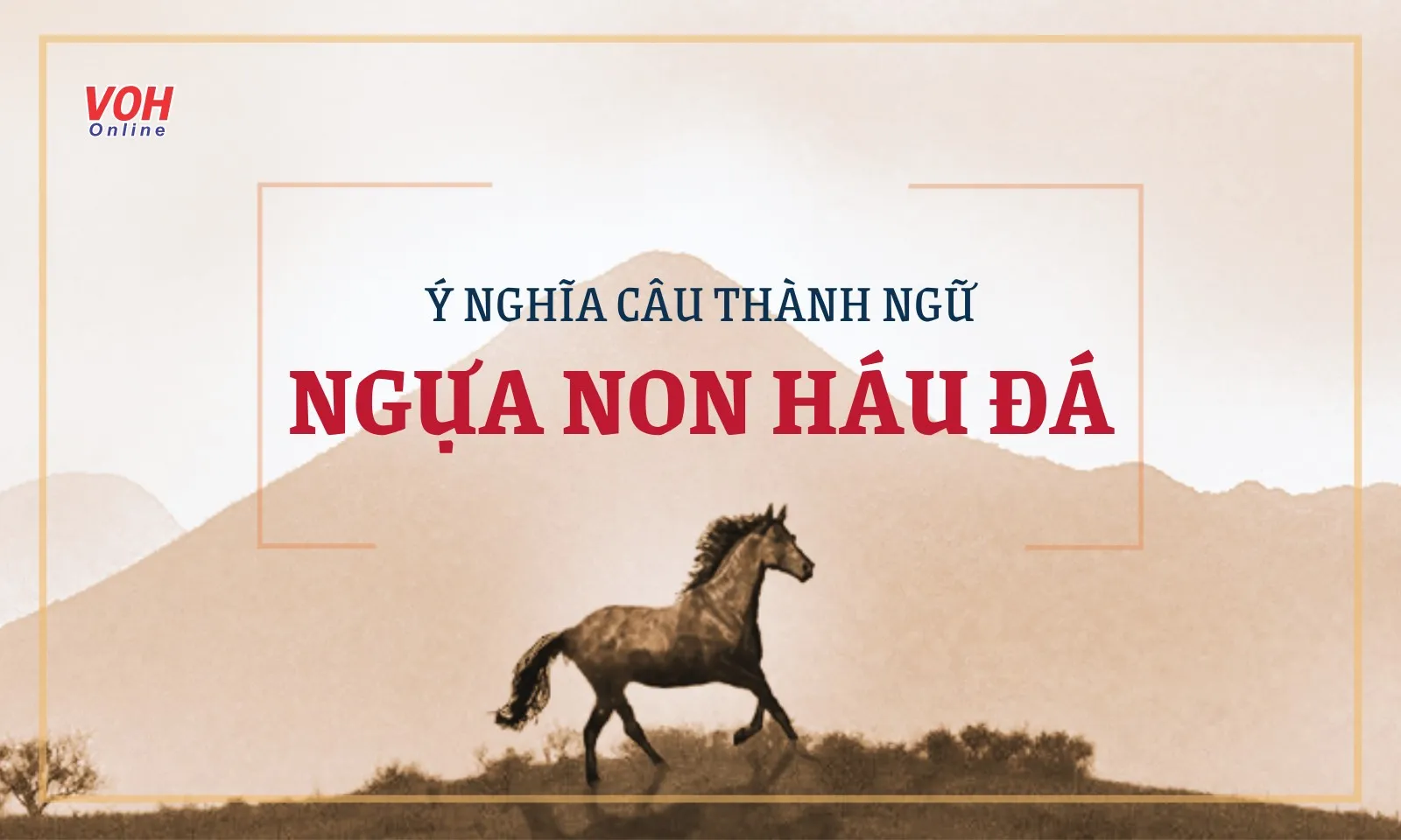 Giải thích ý nghĩa câu thành ngữ “Ngựa non háu đá”