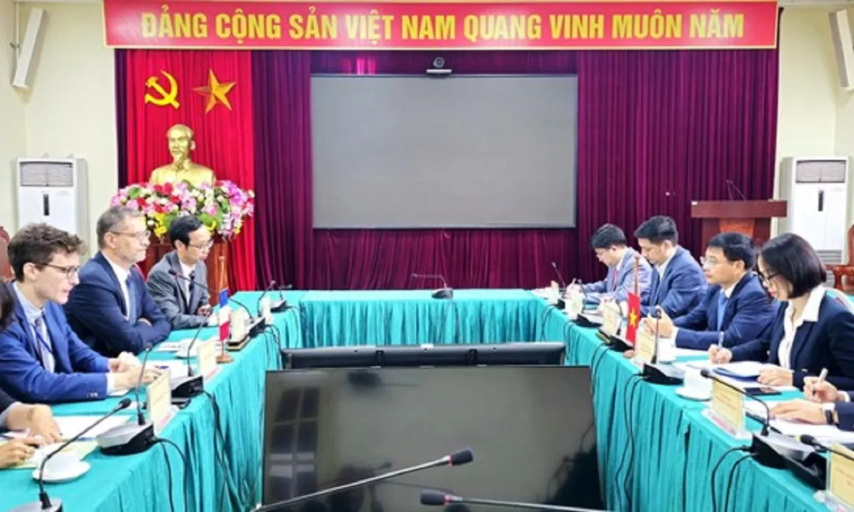 Pháp đề xuất ý tưởng tàu cổ hạng sang phục vụ khách du lịch