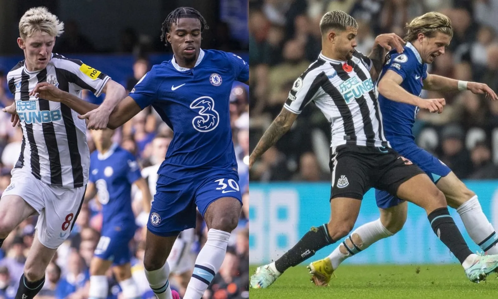 Nhận định và link xem Newcastle vs Chelsea (22h ngày 25/11): Trực tiếp ở đâu? Kênh nào?