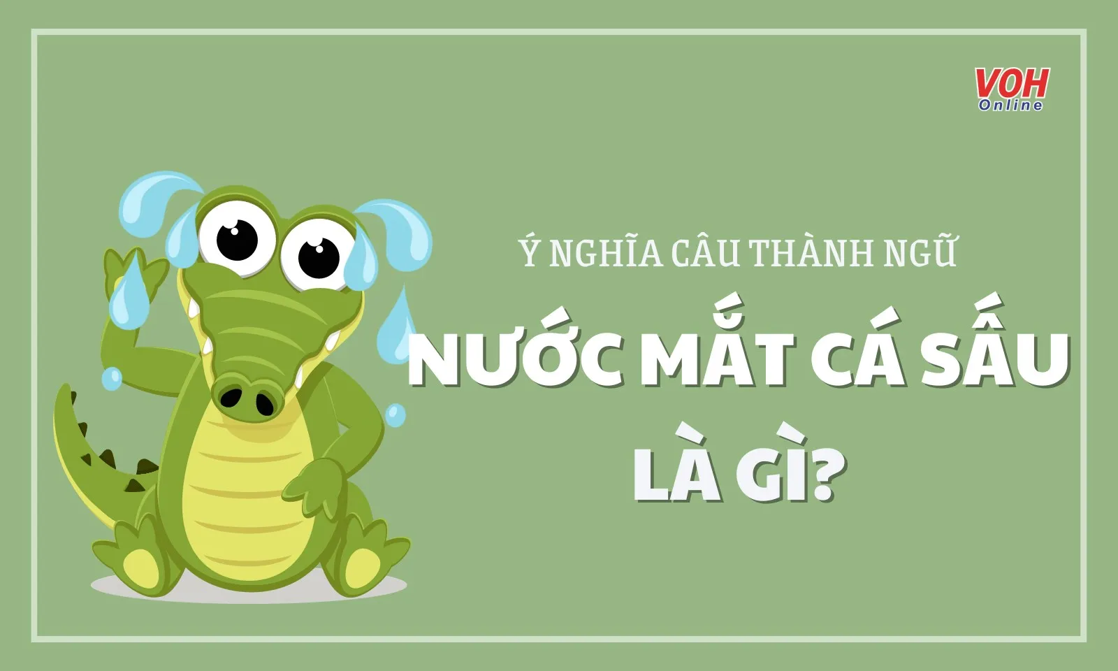 Ý nghĩa câu thành ngữ “Nước mắt cá sấu” là gì?