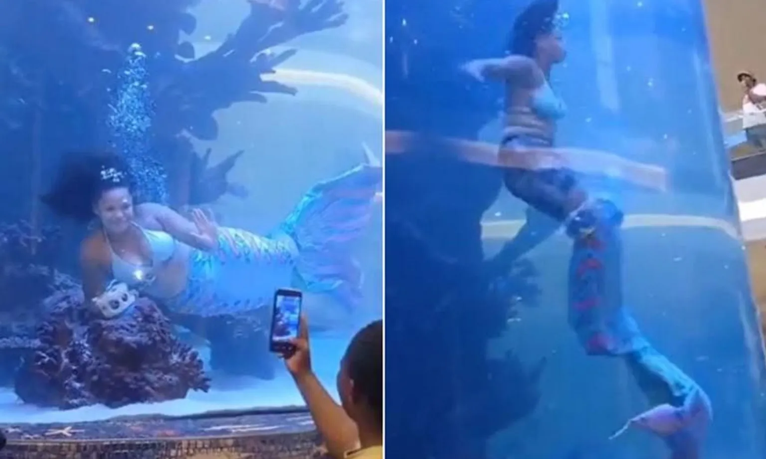 Nàng tiên cá Nam Phi suýt chết vì bị kẹt vây khi biểu diễn