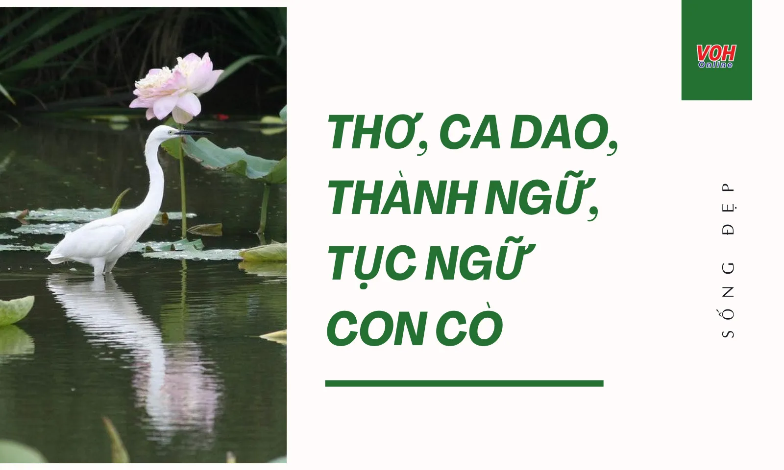 86 bài thơ, ca dao, thành ngữ, tục ngữ về con cò