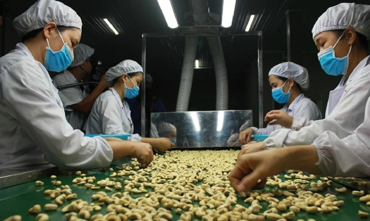 Mỹ - Trung Quốc là thị trường xuất - nhập khẩu lớn nhất Việt Nam