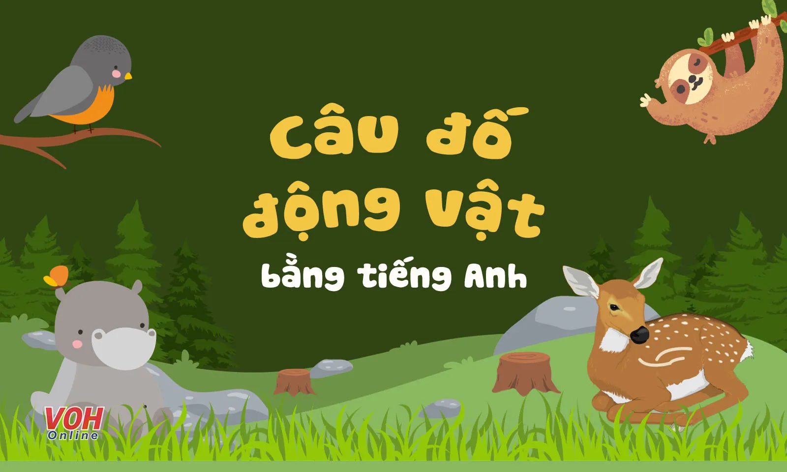 60 câu đố tiếng Anh về con vật giúp trẻ vừa chơi vừa học (có đáp án)