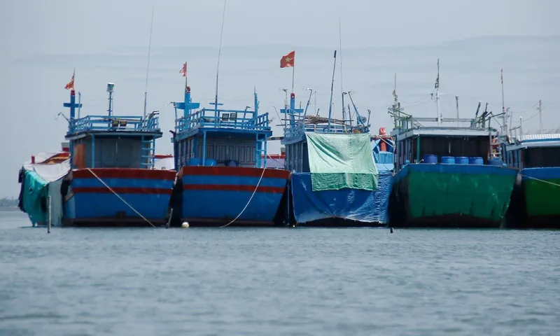 Cà Mau: Giám đốc trung tâm đăng kiểm tàu cá chết trong phòng làm việc