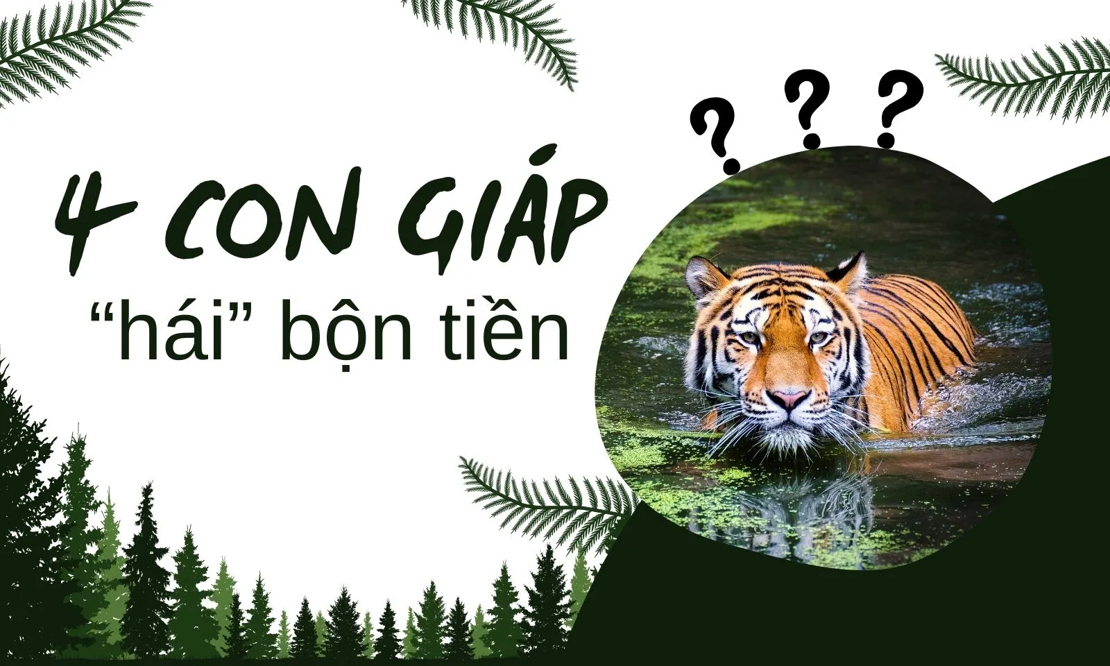 4 con giáp gặp may mắn, kiếm được nhiều tiền