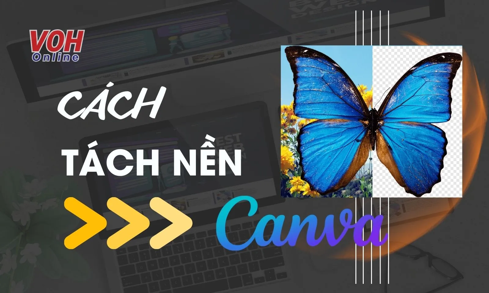 Cách tách nền trong Canva miễn phí, xóa phông ảnh đơn giản