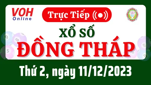 XSDT 11/12 - Kết quả xổ số Đồng Tháp hôm nay thứ 2 ngày 11/12/2023