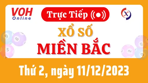 XSMB 11/12, Trực tiếp xổ số miền Bắc thứ 2 ngày 11/12/2023