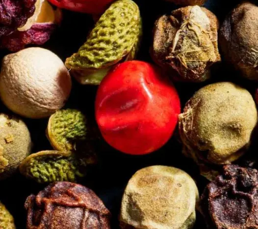 Giá tiêu hôm nay 12/12/2023: Duy trì ổn định