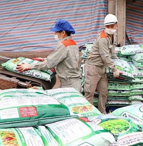 Giá phân bón hôm nay 12/12: Đòng loạt đi ngang