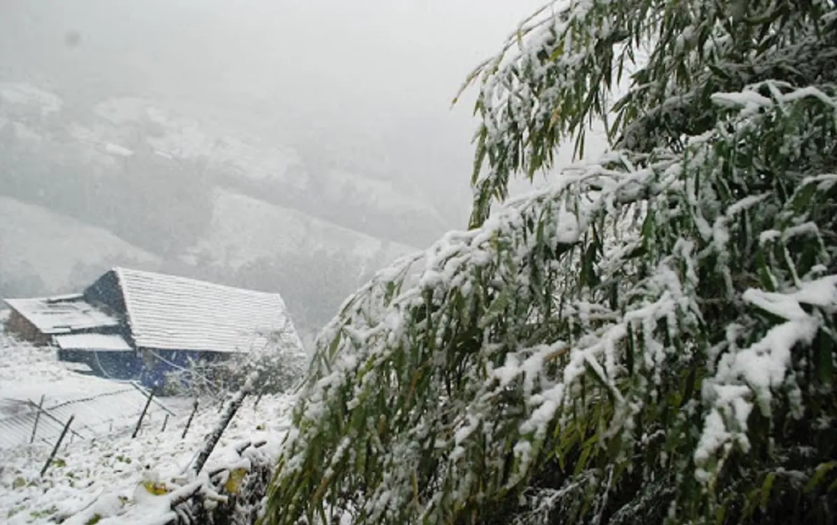 Ngày 16/12 sẽ có đợt gió mùa Đông Bắc mạnh