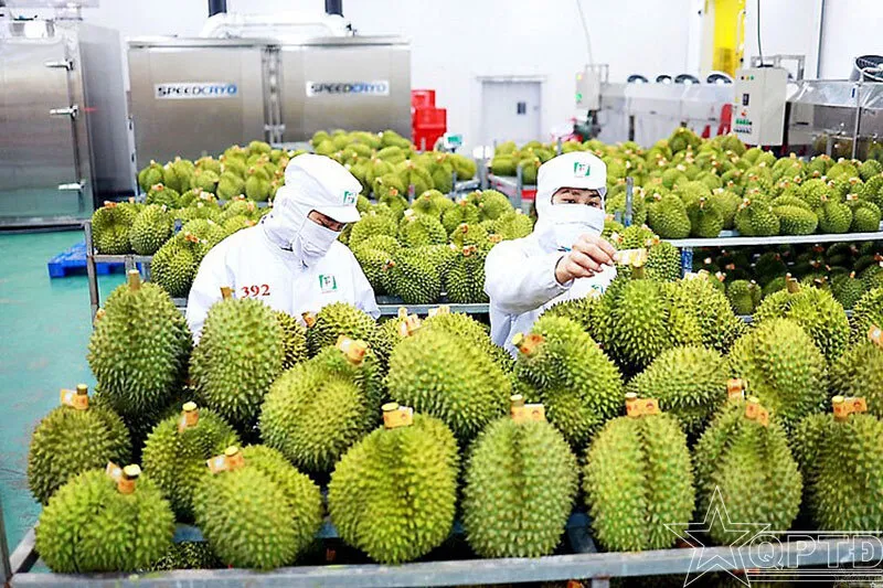 Chuyên gia nói gì về lý do ADB hạ dự báo tăng trưởng kinh tế Việt Nam năm 2023?