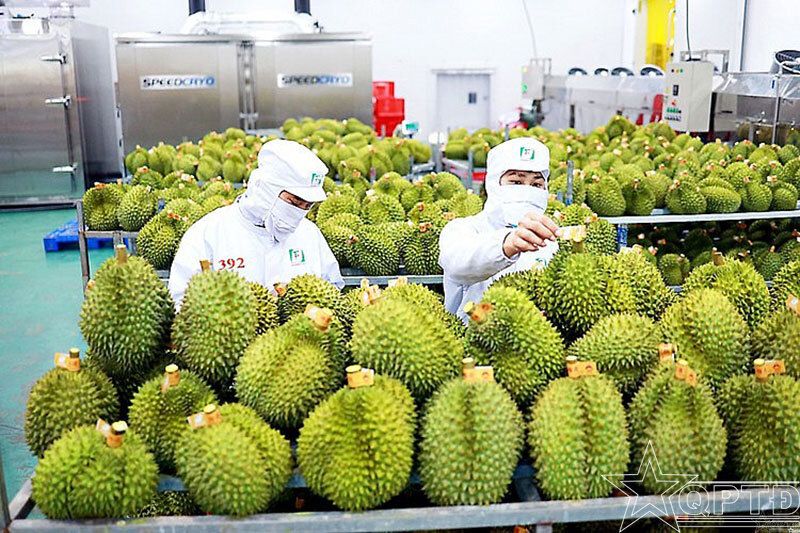 Chuyên gia nói gì về lý do ADB hạ dự báo tăng trưởng kinh tế Việt Nam năm 2023?