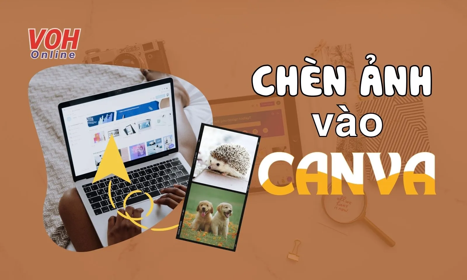 Cách chèn ảnh vào Canva dễ dàng, đơn giản nhanh gọn