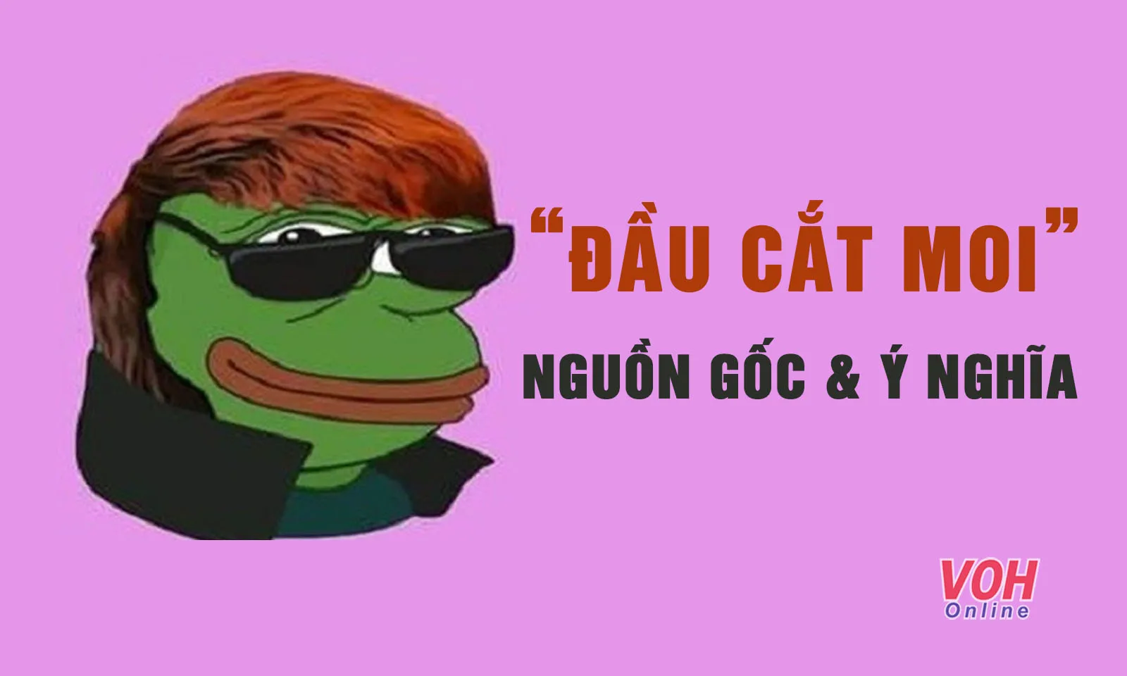 Đầu cắt moi là gì? Nguồn gốc và ý nghĩa meme đầu cắt moi