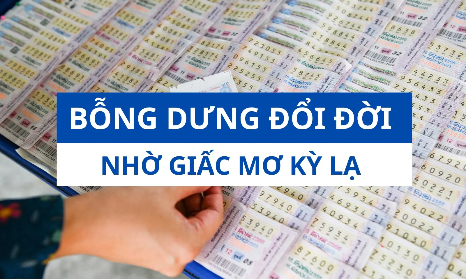 Bỗng đổi đời sau giấc mơ về người ông quá cố