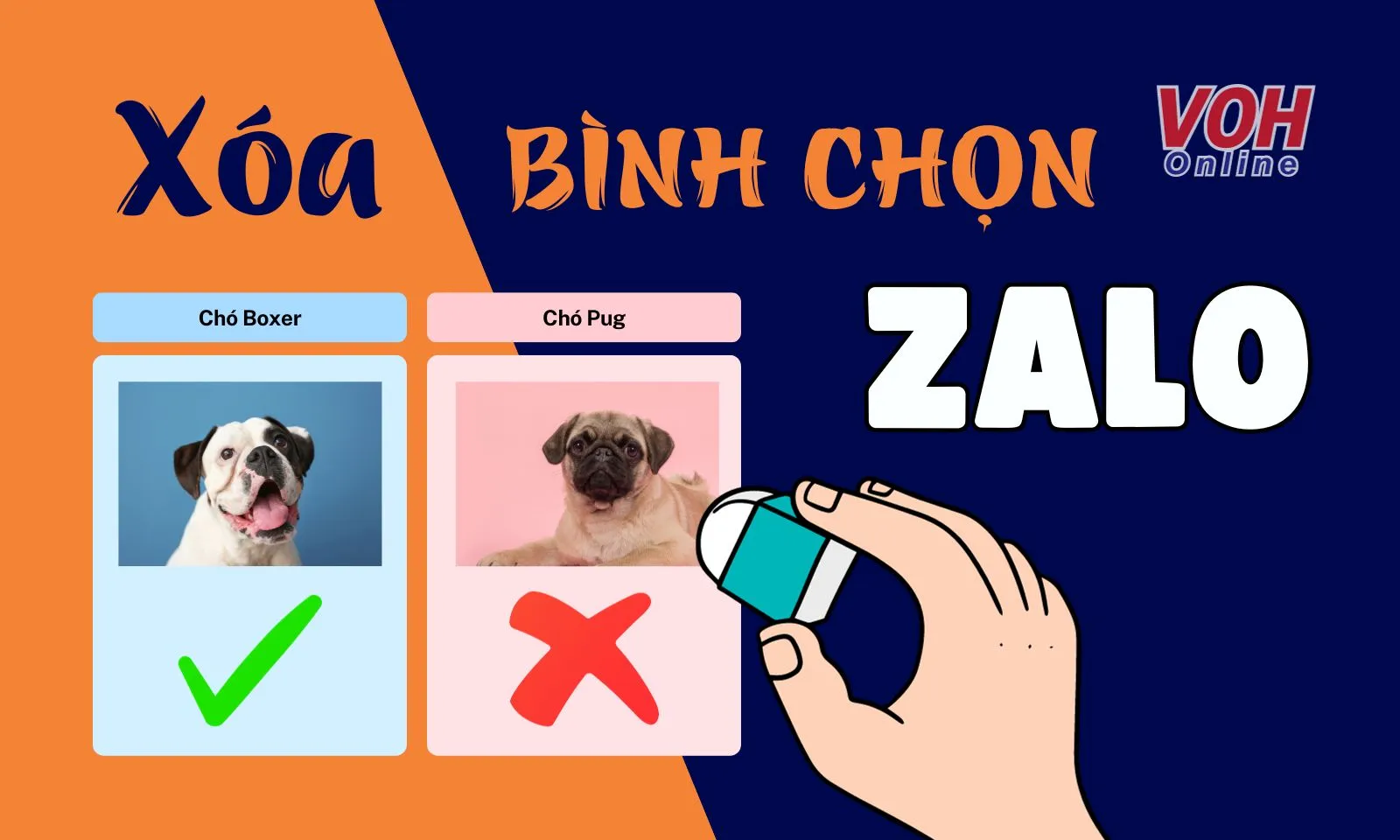 Cách xóa bình chọn trên zalo siêu đơn giản, nhanh chóng