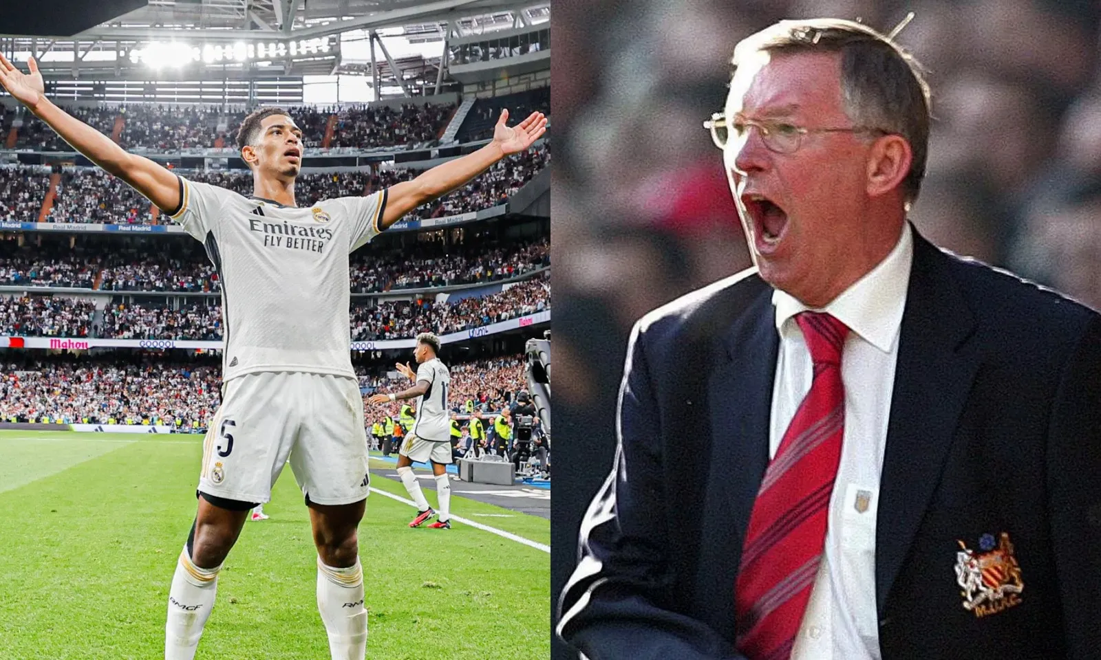 SỐC! Giám đốc dám phạm thượng với Sir Alex, MU phải trả giá mất Bellingham