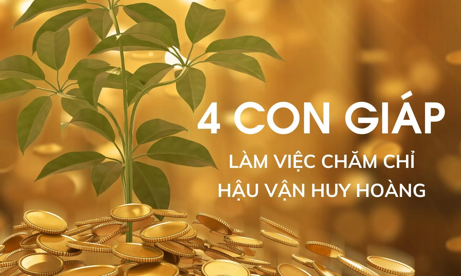 Top 4 con giáp làm việc chăm chỉ, đường công danh rực rỡ, huy hoàng