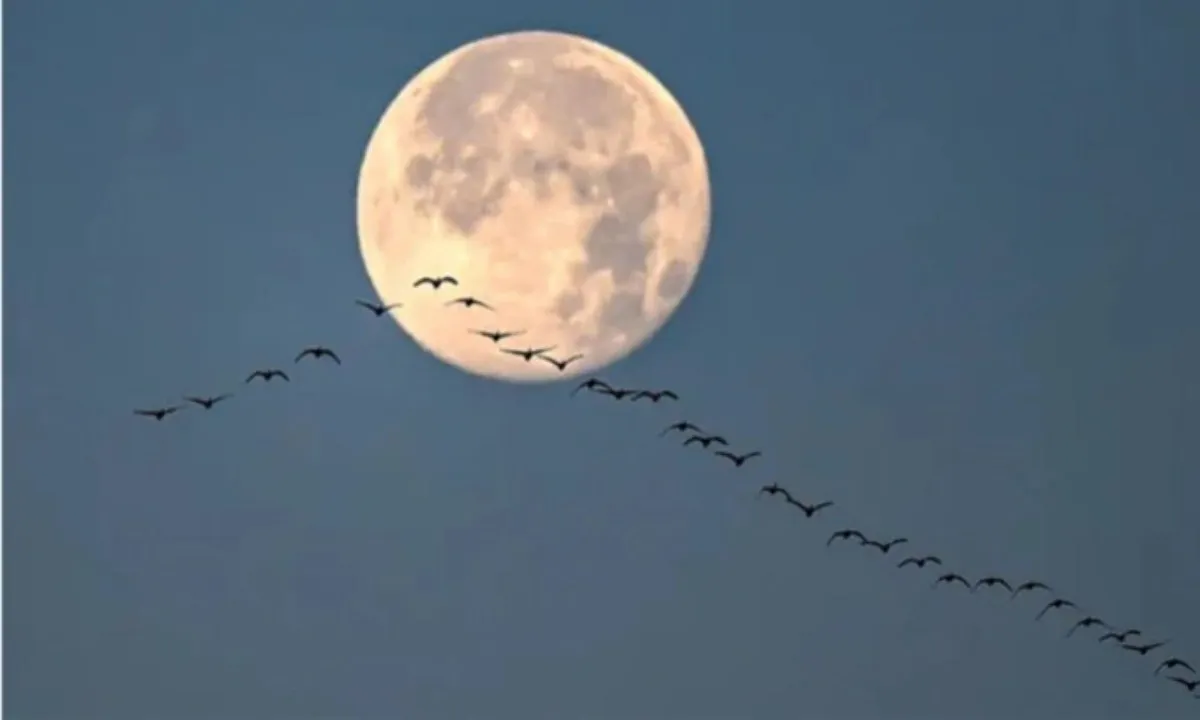 Chiêm ngưỡng trăng tròn cuối cùng năm 2023 trùng với dịp Giáng sinh