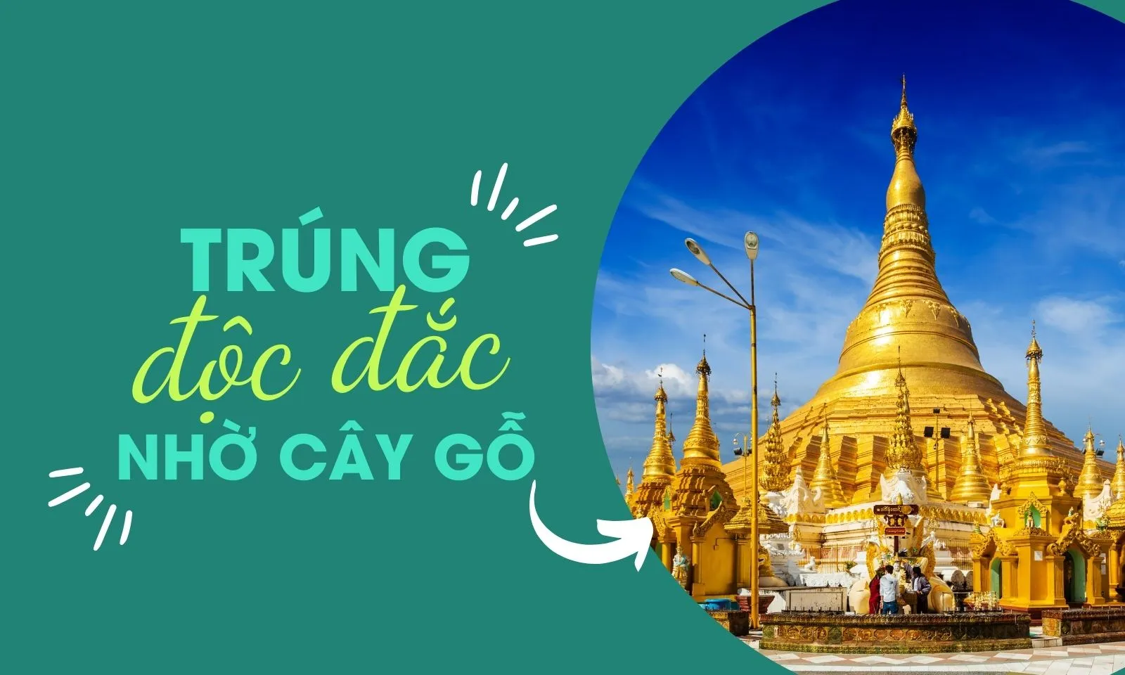 Nhà sư trúng số nhờ cây gỗ trong chùa