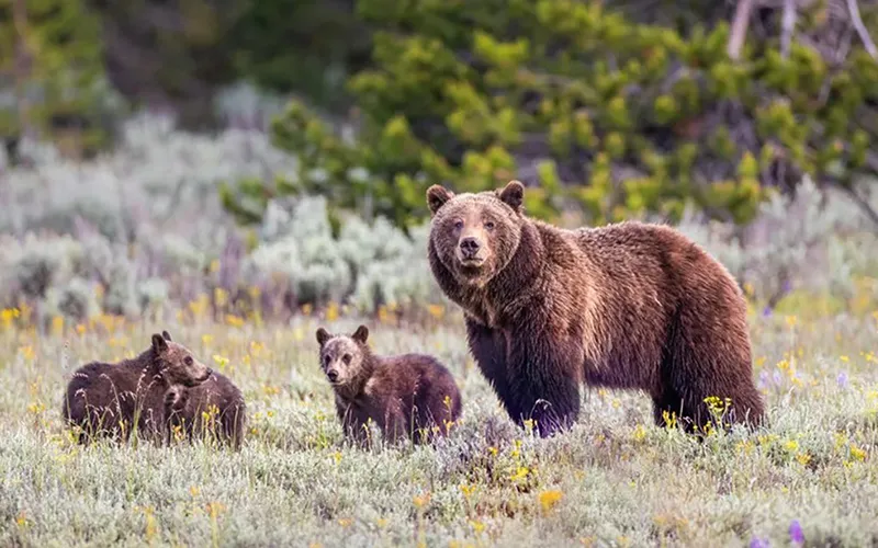7 khám phá khoa học năm 2023 có thể dẫn đến những phát minh mới