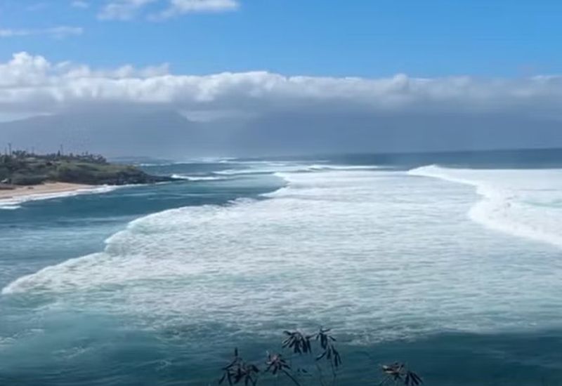 Chơi mô tô nước ở Hawaii bị cá mập tấn công thiệt mạng