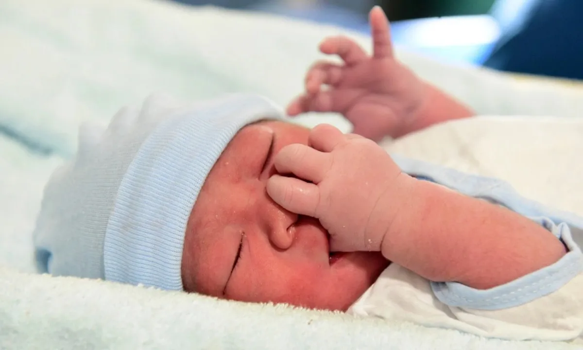 TPHCM chào đón công dân đầu tiên năm 2024