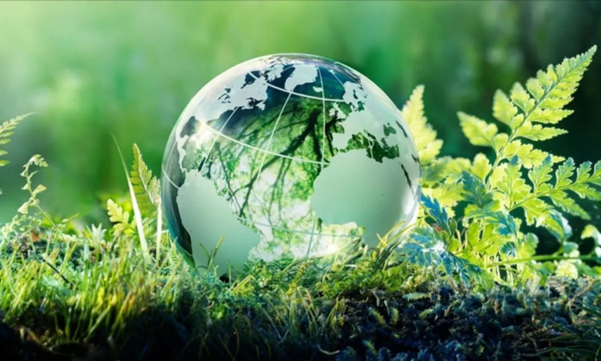Vững tin bước tiếp vào năm 2024 đầy triển vọng